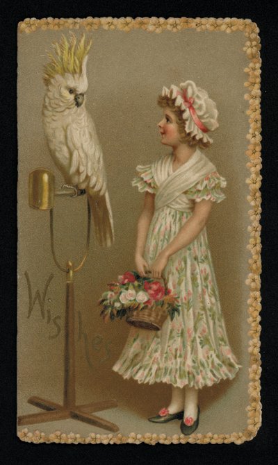 Ung kvinne med en hvit kakadue, gratulasjonskort. (chromolitho) av English School