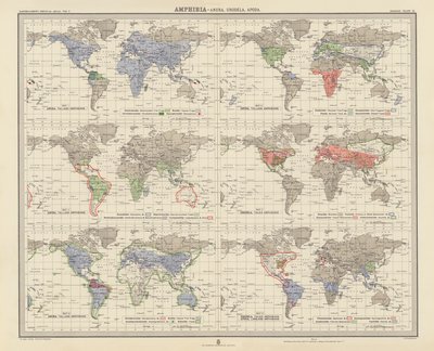 Zoogeografi: Amfibier, Anura, Urodela, Apoda (fargelitografi) av English School
