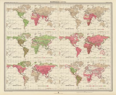 Zoogeografi: Pattedyr, rovdyr (fargelitografi) av English School