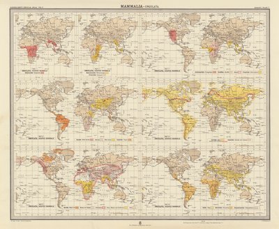 Zoogeografi: Mammalia, Ungulata (fargelitografi) av English School