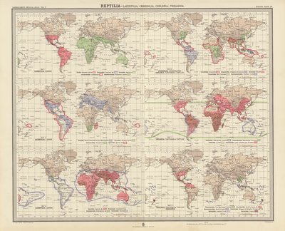 Zoogeografi: Reptilia, Lacertilia, Crocodilia, Chelonia, Prosauria (fargelitografi) av English School