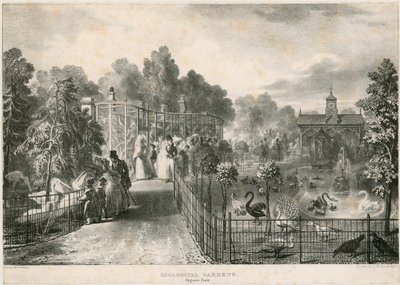 Zoologiske hager, Regents Park av English School
