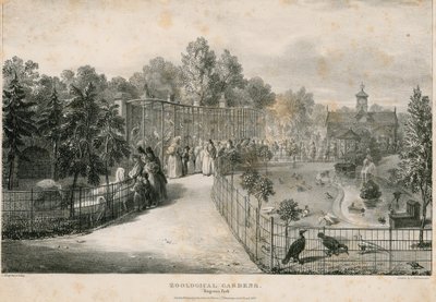 Zoologiske hager, Regents Park av English School