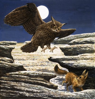 Fennekreven og hubroen av Eric Tansley
