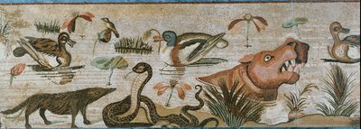 Akvatiske og andre dyr av Erich Lessing