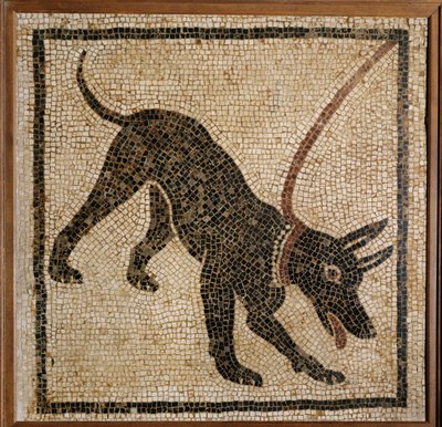 Cave Canem - pass deg for hunden, terskelmosaikk fra Pompeii av Erich Lessing
