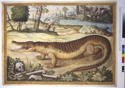 Helside: Nilkrokodille i et landskap, med menneskebein ved siden av, ca. 1562–1580 (akvarell på papir) av Erich Lessing