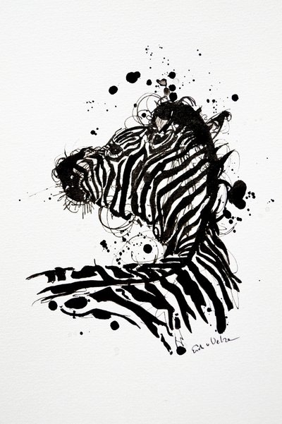Wild Zebra – blekksprut av Erik Van Velzen