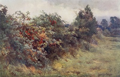 Åpenbaringen av modenhet av Ernest Benger or Berenger
