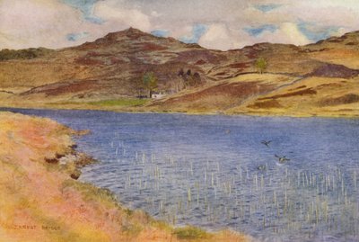  av Ernest Edward Briggs