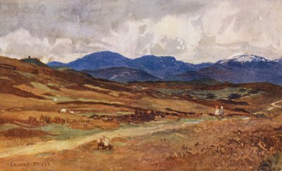  av Ernest Edward Briggs