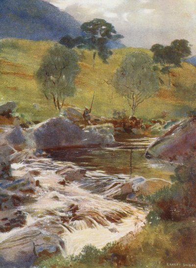  av Ernest Edward Briggs