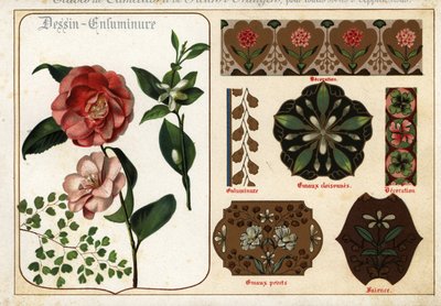 Bilder av kameliaer og oransje blomster fra manuskripter og deres av Ernest Guillot