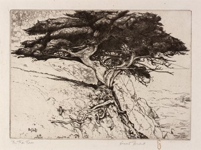 Viftetreet av Ernest Haskell