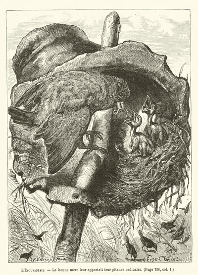Fugleskremselet, Den gode moren ga dem deres vanlige småpenger av Ernest Henry Griset