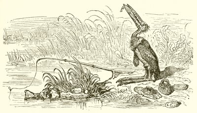 Fiskeren og den lille fisken av Ernest Henry Griset