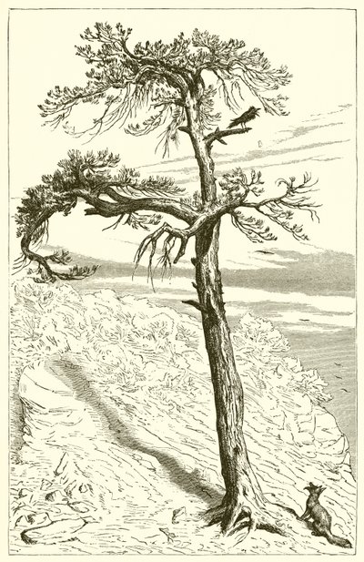 Reven og mannskapet av Ernest Henry Griset