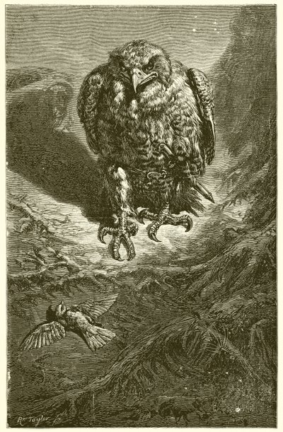 Hauken og nattergalen av Ernest Henry Griset