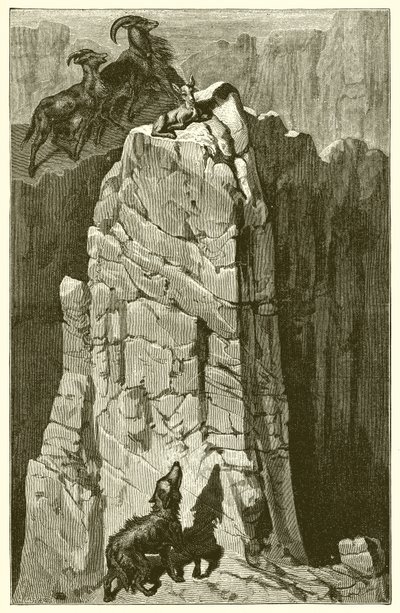 Ungen og ulven av Ernest Henry Griset