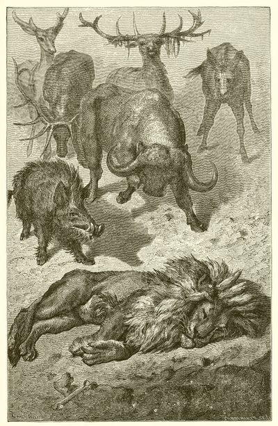 Den gamle løven av Ernest Henry Griset