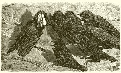 Den forfengelige jackdaw av Ernest Henry Griset