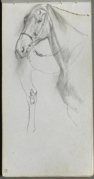 Skissebok, side 55: Study for a Horse av Ernest Meissonier