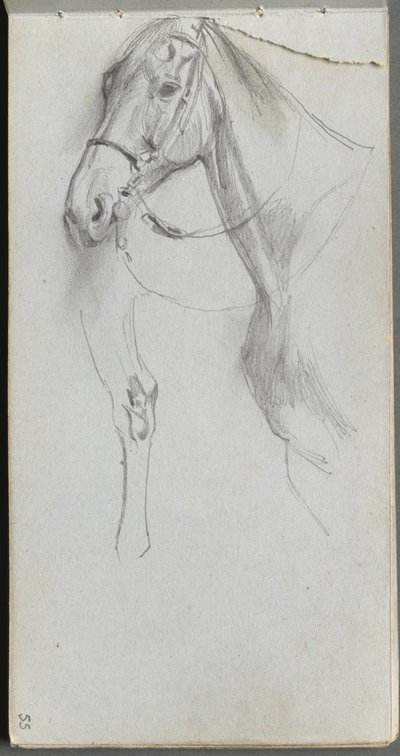 Skissebok, side 55: Study for a Horse. av Jean Louis Ernest Meissonier