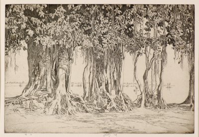 Banyan-treet av Ernest Stephen Lumsden