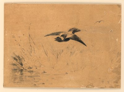 Bobolink av Ernest Thompson Seton