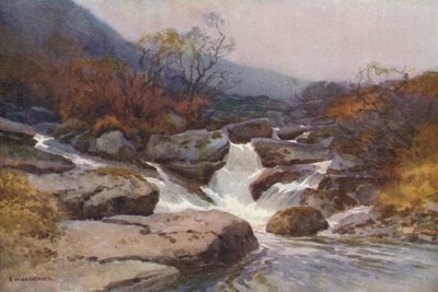 En Dartmoor-strøm (farge litho) av Ernest William Haslehust
