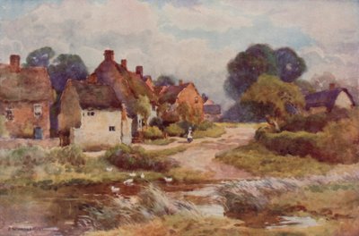 "Beggarly Broom" (farge litho) av Ernest William Haslehust