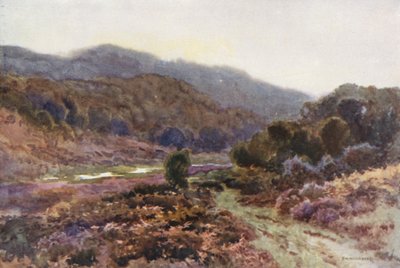 Av Broomy Water (farge litho) av Ernest William Haslehust