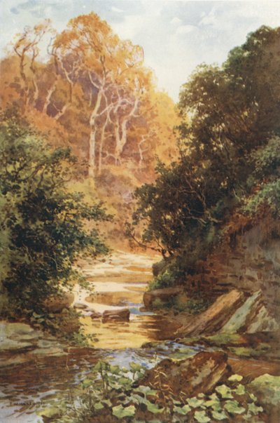 Hayburn Wyke (farge litho) av Ernest William Haslehust