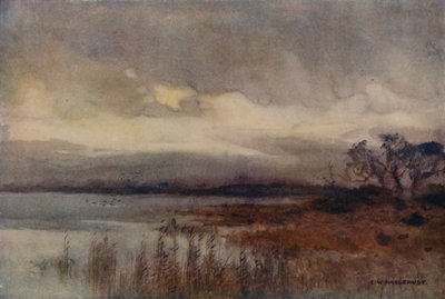Hickling Broad (farge litho) av Ernest William Haslehust