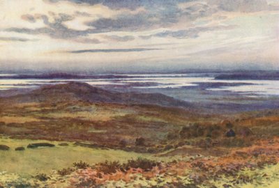 Poole fra Swanage Golf Links (fargemedlemmer) av Ernest William Haslehust