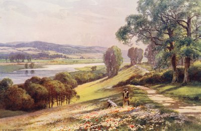  av Ernest William Haslehust