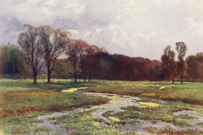 Themsen: Thames Head (fargelitografi) av Ernest William Haslehust