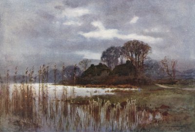The Mill Pond, Beaulieu (farge litho) av Ernest William Haslehust