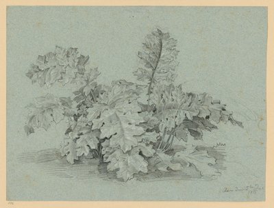  av Ernst Fries