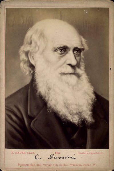 Charles Darwin , britisk naturforsker, c1860-c1870s av Ernst Hader