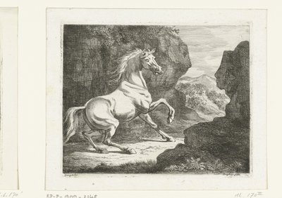 Sprett hvit hingst av Ernst Willem Jan Bagelaar