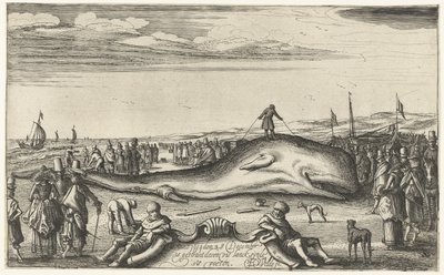 Strandet spermhval på stranden ved Noordwijk, 1614 av Esaias van de Velde