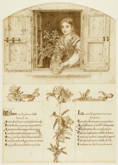 Jessamine-vinduet, som trekker mot 
