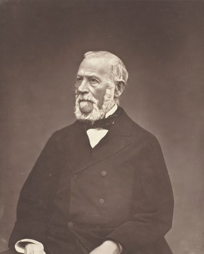 Henri Martin, ca. 1876. av Etienne Carjat