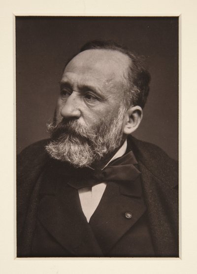 Portrett av Pierre Puvis de Chavannes (1824-1898) av Etienne Carjat