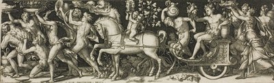 Kamper og triumfer av Etienne Delaune