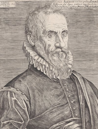 Portrett av Ambroise Paré, kongens kirurg, 1582. av Etienne Delaune