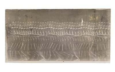 Mann som går, 1882 av Etienne Jules Marey