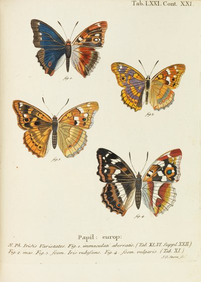 Sommerfuglene Sommerfuglene, 1777-1794. av Eugen Johann Christoph Esper
