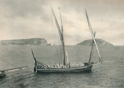 Seilbåt i havnen i Napoli, Italia, 1927 av Eugen Poppel
